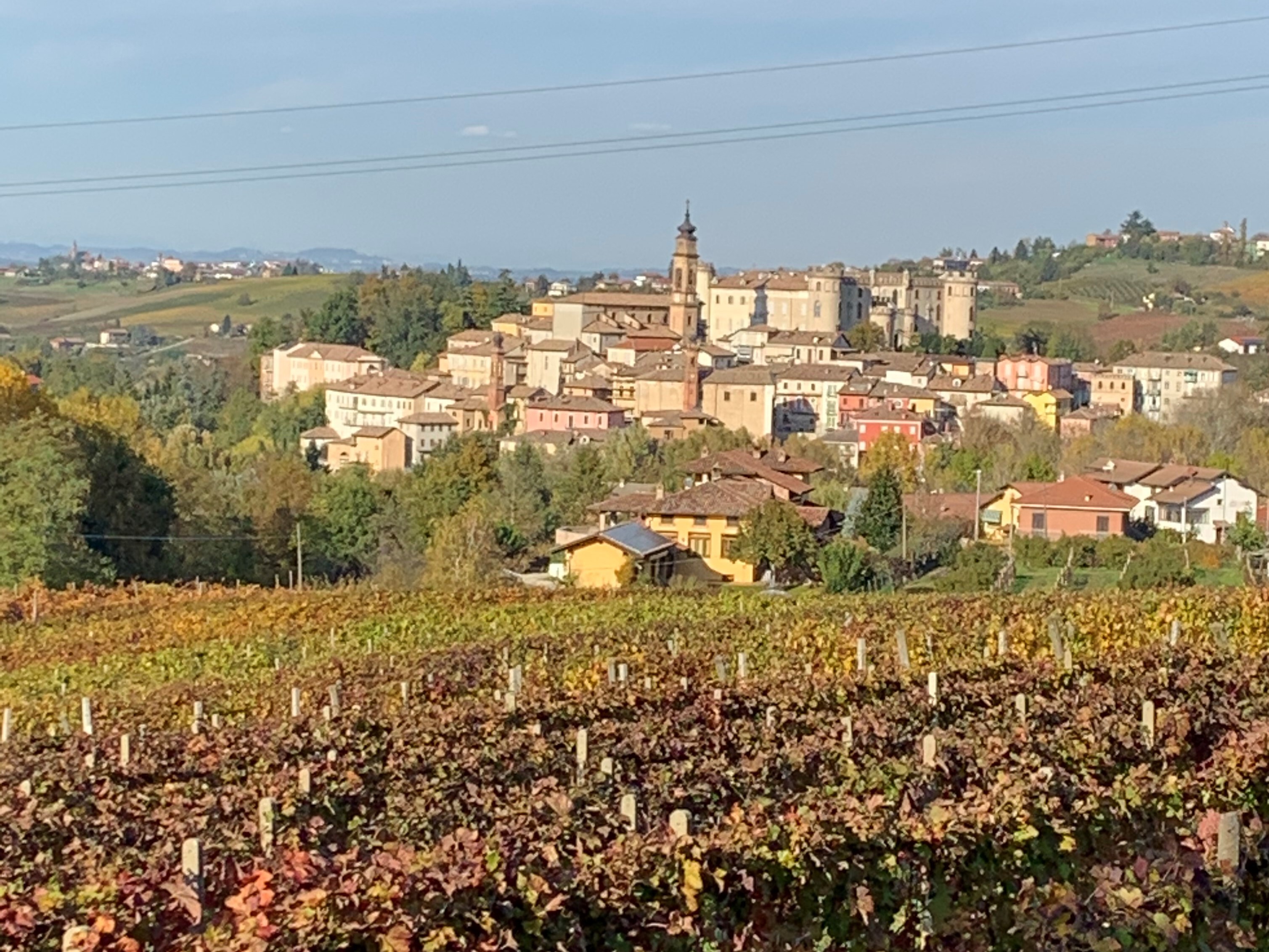 IMG_6970_2_.jpeg IMG_6970_2_.jpeg